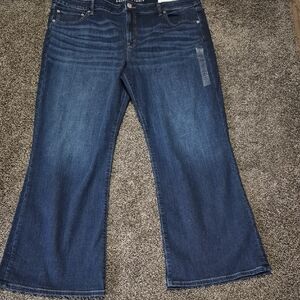 NWT American Eagle Favorite Boyfriend Jeans Size 22 Regular